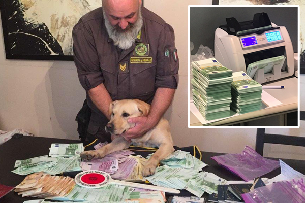 Finanza-cinofila-cash-dog-ospedaletto-lodigiano