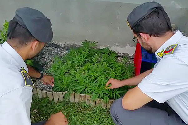 marijuana-finanza-caselle