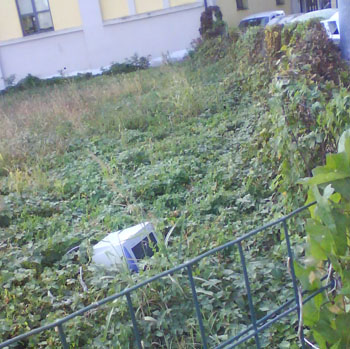 rudo selvagreca rudo selvagreca