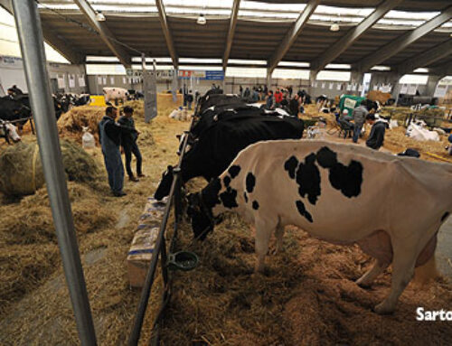 Fiera di Codogno 2025: dal 30 ottobre via alle prevendite dei biglietti
