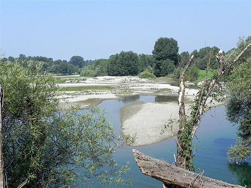 Adda Castelnuovo