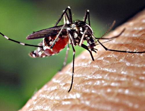 West Nile virus in Lombardia: un caso anche a Lodi