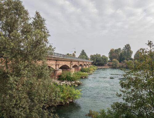 Lettere – Ponte Napoleonico di Lodi soffocato dal degrado: AMA IL TUO PAESE chiede manutenzione immediata