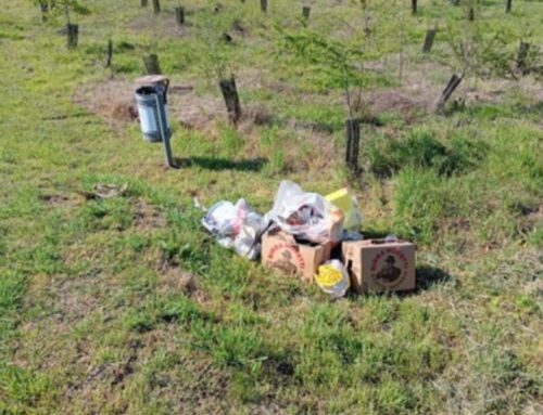 Lettere – Lodi si muove: è finita la luna di miele tra la città di Lodi e l’Amministrazione Furegato