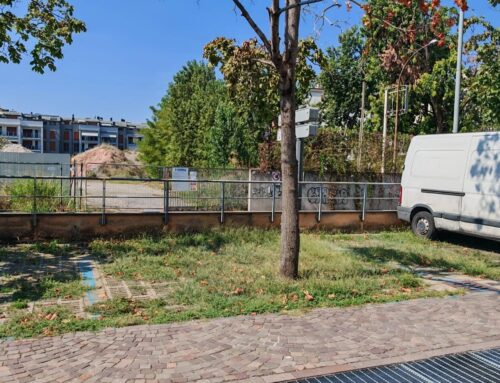 Lettere – Manutenzione verde urbano a Lodi: criticità in vista dei grandi eventi