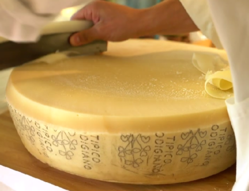OLTRE LODI.it: nasce il primo portale di esperienze enogastronomiche 100% lodigiane