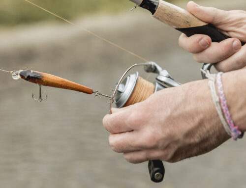 Lodi, un workshop su pesca e acquacoltura sostenibili al Polo universitario